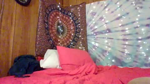 LexieLanierxo online show from February 1, 2026, 6:01 am