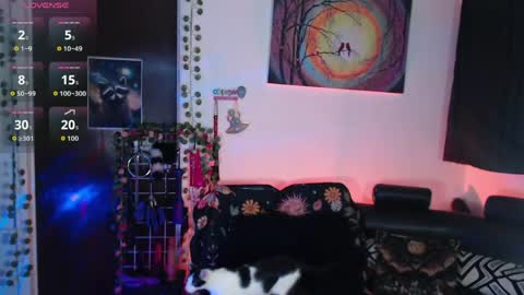 Lexxii online show from May 17, 2026, 9:00 pm
