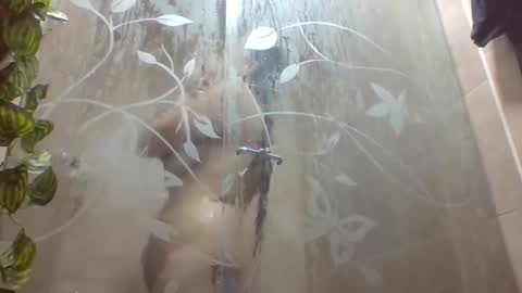 leyla_horny_bg online show from December 22, 2025, 9:56 pm