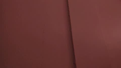 Liss 3 online show from March 29, 2026, 10:37 am