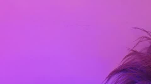 Lia Bell online show from June 30, 2026, 7:15 pm