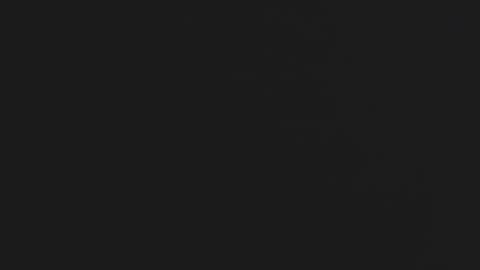 Daniel online show from November 17, 2025, 6:14 pm