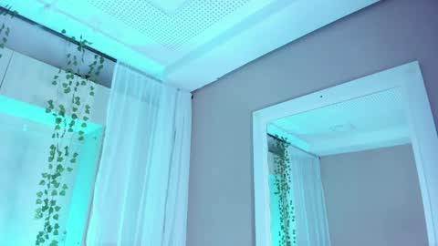         online show from April 25, 2026, 11:35 am