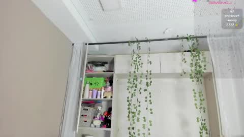         online show from April 27, 2026, 11:41 am