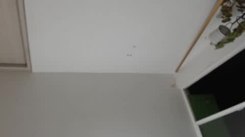 liiz5 online show from December 31, 2024, 1:26 am