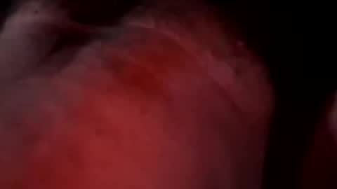 Liketoplay online show from March 20, 2026, 11:48 am