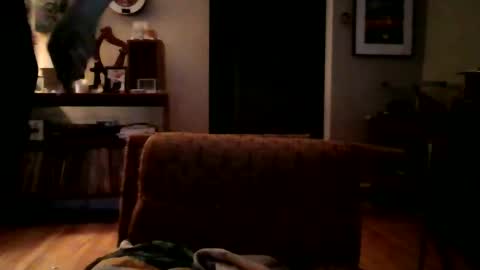 lildeer1980 online show from January 8, 2025, 8:16 am