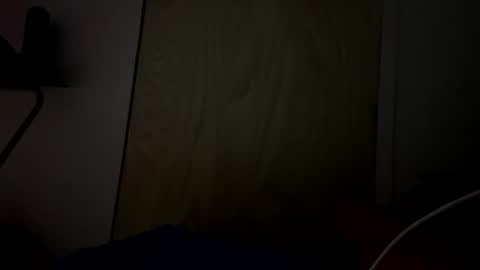Snapshot of lildudeandme chatting on October 14, 2025, 8:04 am lildudeandme online show from October 14, 2025, 8:04 am