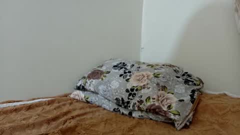 Snapshot of lilfreya chatting on April 13, 2026, 11:48 am lilfreya online show from April 13, 2026, 11:48 am