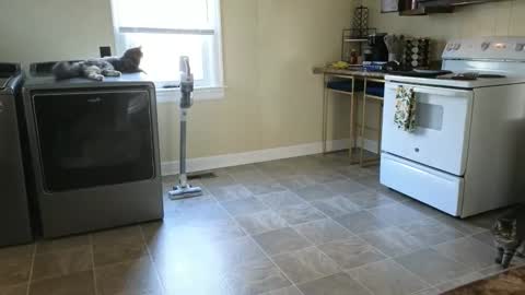 lilly_adams88 online show from March 21, 2026, 9:51 pm