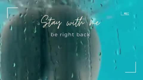 Lily online show from December 21, 2025, 6:31 am