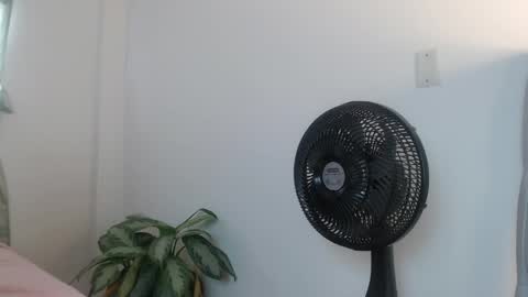 lily_rose0 online show from June 4, 2026, 8:04 pm