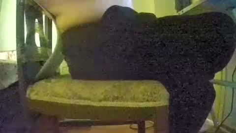 lilylovelyman50 online show from June 22, 2026, 12:02 pm