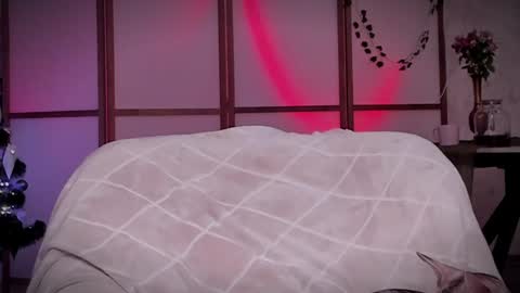 Lina -  online show from December 16, 2024, 11:44 am