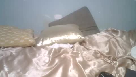 Snapshot of lincolnlongdick chatting on March 24, 2026, 7:19 pm Richie Rich online show from March 24, 2026, 7:19 pm