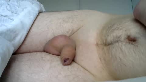 Snapshot of lion2662 chatting on January 3, 2025, 10:41 am lion2662 online show from January 3, 2025, 10:41 am