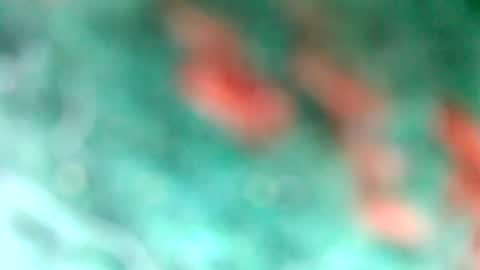 lionelearthquake online show from March 11, 2025, 4:18 pm