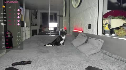 Lisa online show from November 17, 2025, 2:45 pm