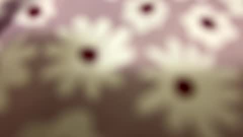 litos666 online show from February 24, 2026, 4:32 am