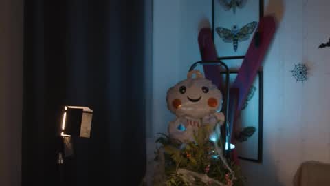 Anita B-day stream on 7TH DEC  online show from October 28, 2025, 4:53 pm