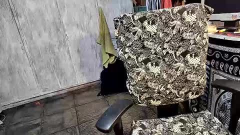 little_savage online show from March 25, 2026, 2:06 am