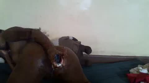 littlesandie online show from March 10, 2025, 12:04 pm