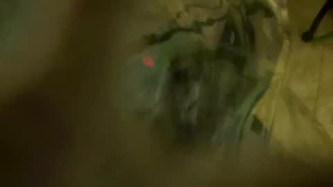 Little Tj online show from April 23, 2026, 4:03 am