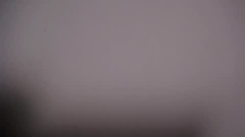 Viki online show from October 9, 2025, 7:50 am