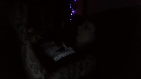 Liv Mirage online show from November 5, 2025, 10:48 am