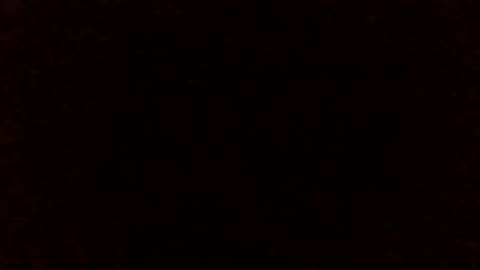 Lizzie Vonn online show from April 25, 2026, 12:24 am