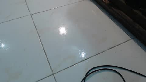 lola_foox online show from November 12, 2025, 11:25 pm