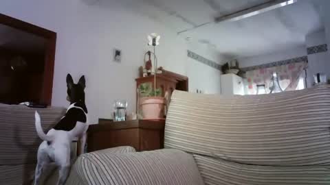 Snapshot of lolahueso chatting on October 6, 2025, 8:12 am LOLA HUESO y ERIC online show from October 6, 2025, 8:12 am