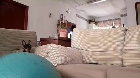 Snapshot of lolahueso chatting on October 17, 2025, 8:06 am LOLA HUESO y ERIC online show from October 17, 2025, 8:06 am