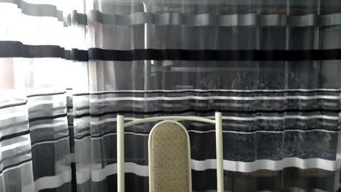 Lisa online show from October 5, 2025, 7:07 am