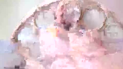 Lolo online show from March 10, 2026, 11:48 am