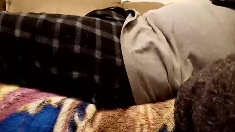 Snapshot of looking4bush chatting on December 1, 2024, 10:43 pm looking4bush online show from December 1, 2024, 10:43 pm