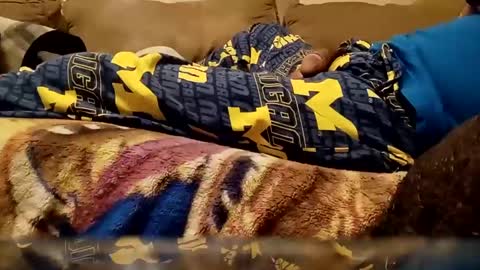 Snapshot of looking4bush chatting on December 25, 2024, 10:59 pm looking4bush online show from December 25, 2024, 10:59 pm