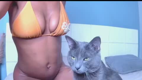 Blackcat online show from March 30, 2026, 12:00 am