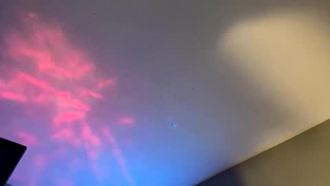 HoneydickNick online show from January 23, 2025, 12:19 pm