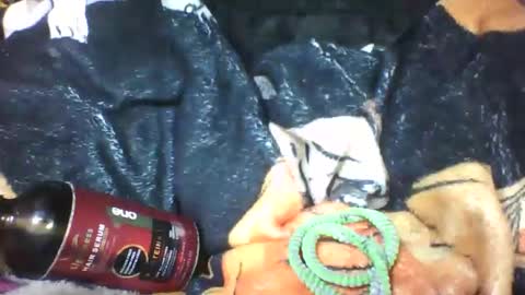 lovaelisa online show from October 18, 2025, 6:48 am