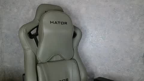 Megane online show from February 4, 2025, 8:56 am