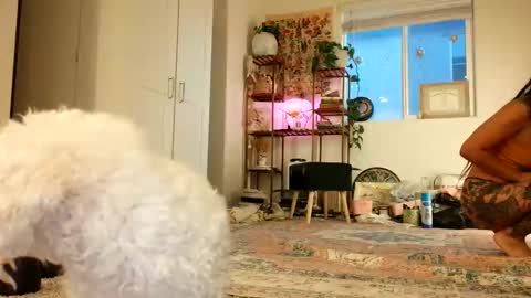 Snapshot of lovelyxmacii chatting on May 8, 2026, 2:39 am lovelyxmacii online show from May 8, 2026, 2:39 am