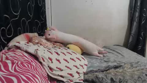 loveme114 online show from March 30, 2026, 12:33 am