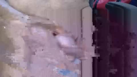 Lovesblackazz online show from March 9, 2026, 3:43 am