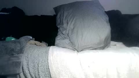 Snapshot of lovestobeused2 chatting on May 4, 2026, 3:02 am lovetobeused online show from May 4, 2026, 3:02 am