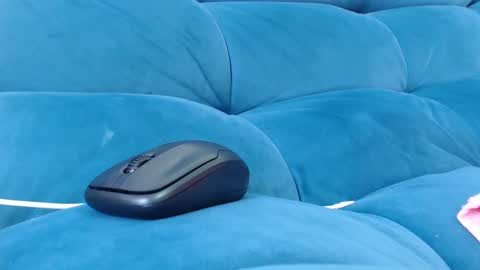 cutelucy 3 online show from December 27, 2024, 7:24 pm