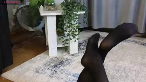 lowkeywild_ online show from June 12, 2026, 4:55 am