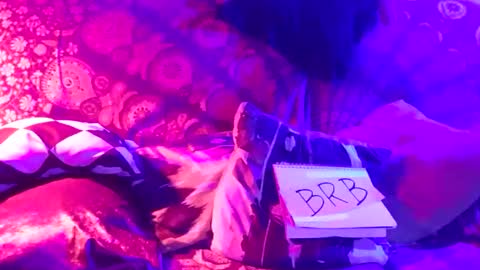 Snapshot of luckazy chatting on January 4, 2025, 6:52 am Lucky Eid Azy online show from January 4, 2025, 6:52 am