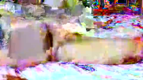 Snapshot of lucky134u chatting on April 20, 2026, 2:31 pm lucky134u online show from April 20, 2026, 2:31 pm