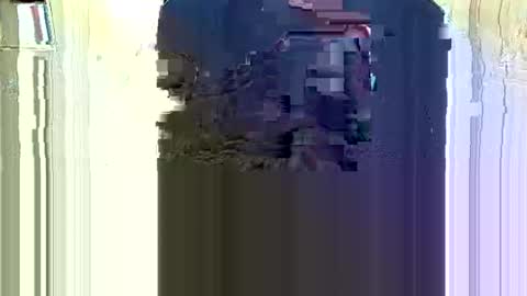 Luckycock online show from October 1, 2025, 12:11 pm